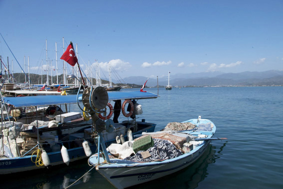 Fishing boats in Fethiye harbour