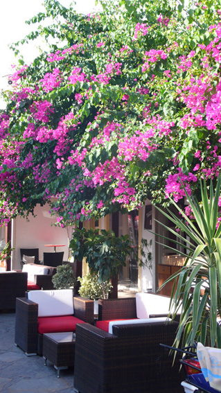 Coast cafe bar outside seating at Kalkan harbourfront