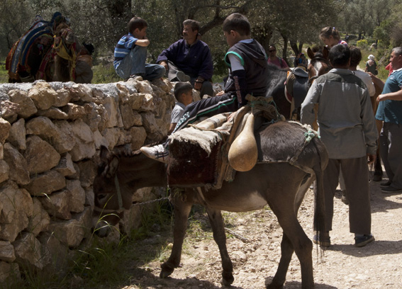 Boy on donkey, Turkey