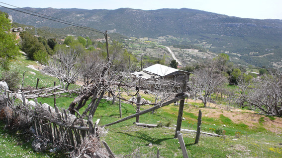 Rustic Turkish dwelling in mountains